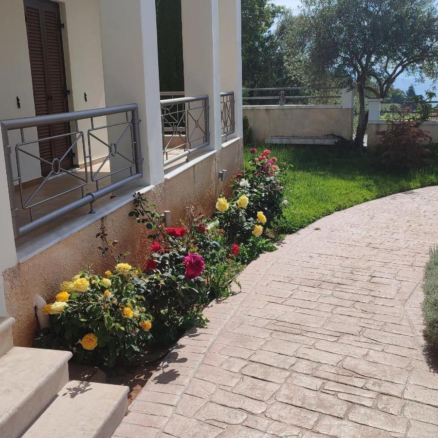 Guesthouse Michobeis Kamarína Exterior foto